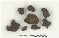 藏品(叢苔科)的圖片